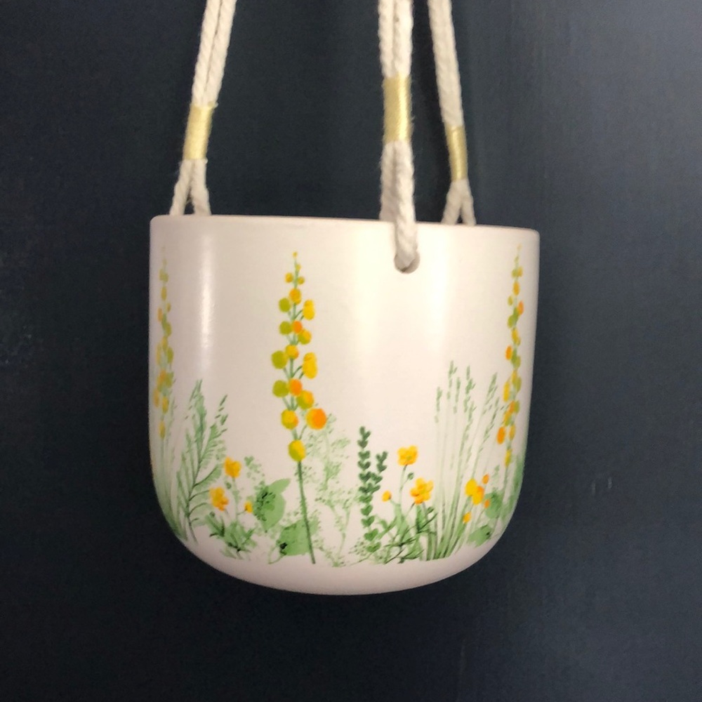 Cute 4.5 inch hanging cache pot